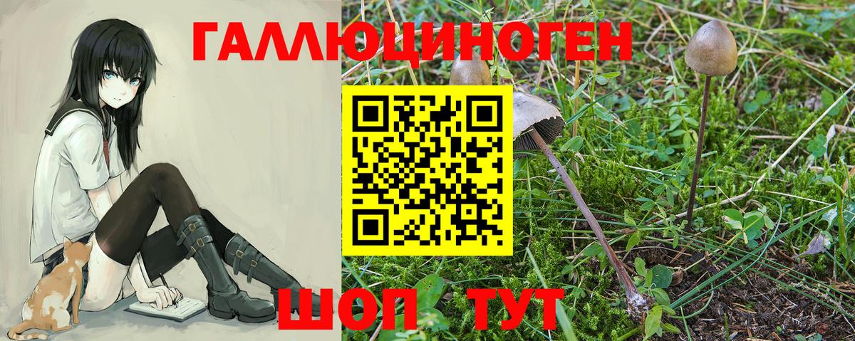 Юрга  Галлюциногенные грибы ЛСД  Вход с VPN  Псилоцибиновые грибы GOLDEN TEACHER 