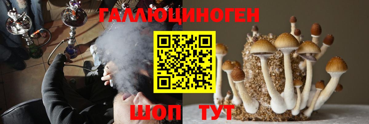 Псилоцибиновые грибы GOLDEN TEACHER Юрга