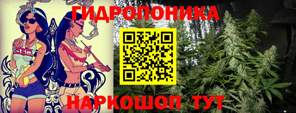 Каннабис White Widow Юрга